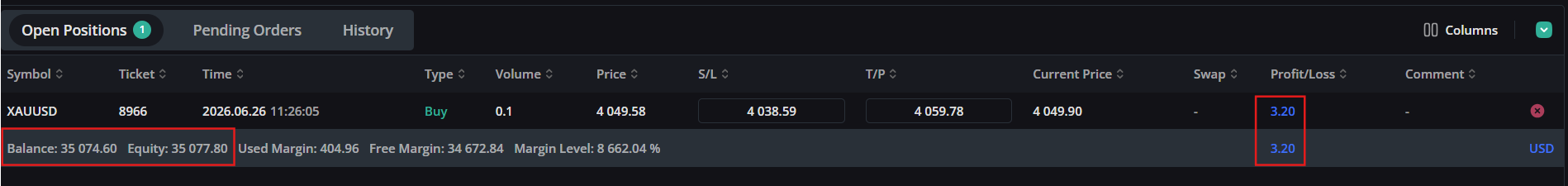 Balance and Equity display in WebTrade footer